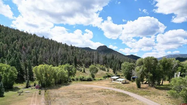 a view of a backyard of the house