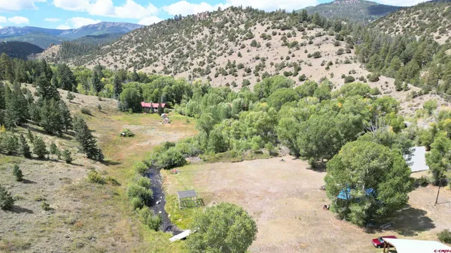 a view of a yard with a tree