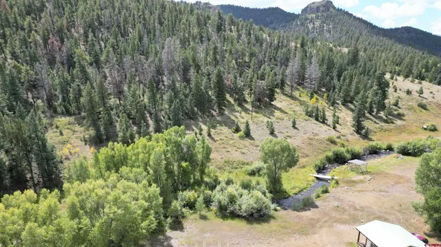 a view of a lush green field
