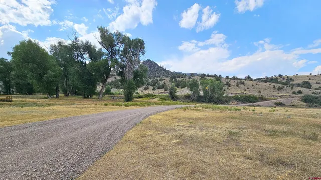a view of swimming pool with a yard
