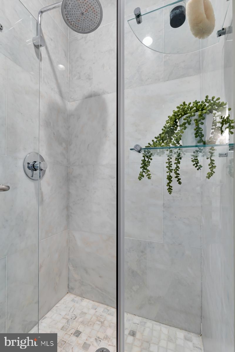 911 10th Street Northeast Washington, DC 20002 - Photo 25 of 46 Spa-like shower