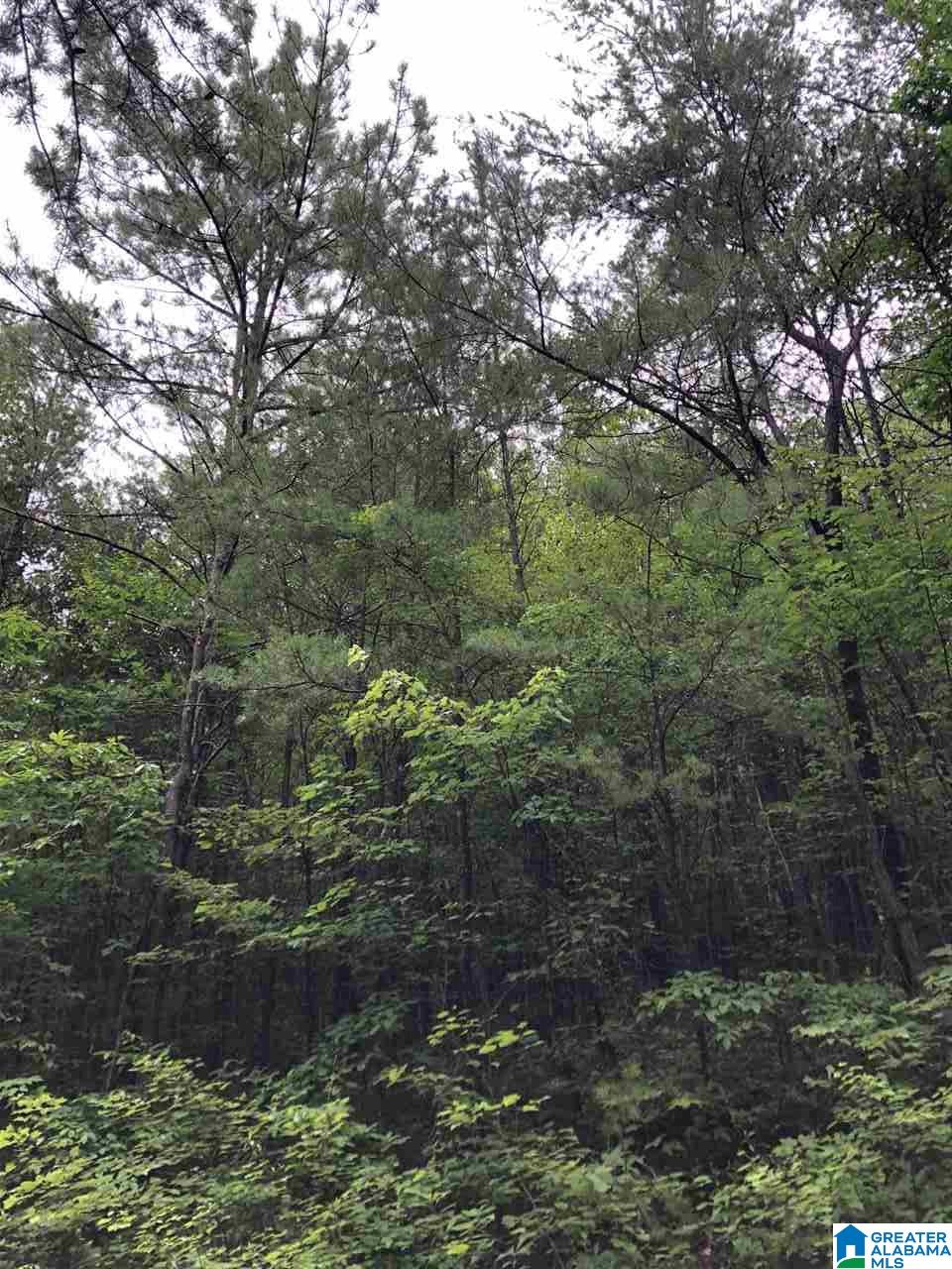 2445 Hiawatha Road, Unit 1 Calera, AL 35040 - Photo 2 of 4