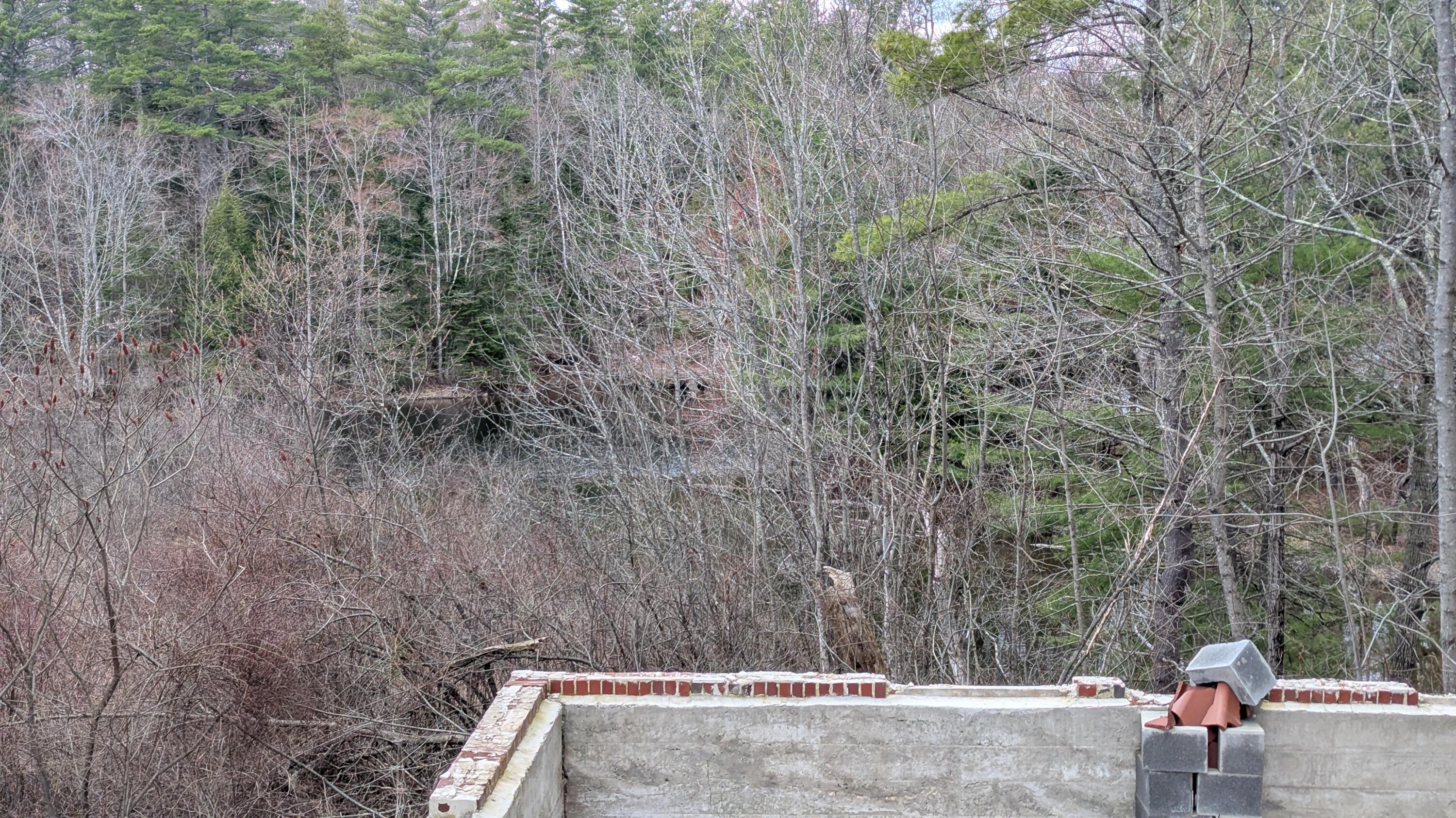 42 Main Street Windham, ME 04062 - Photo 8 of 15 1000029739