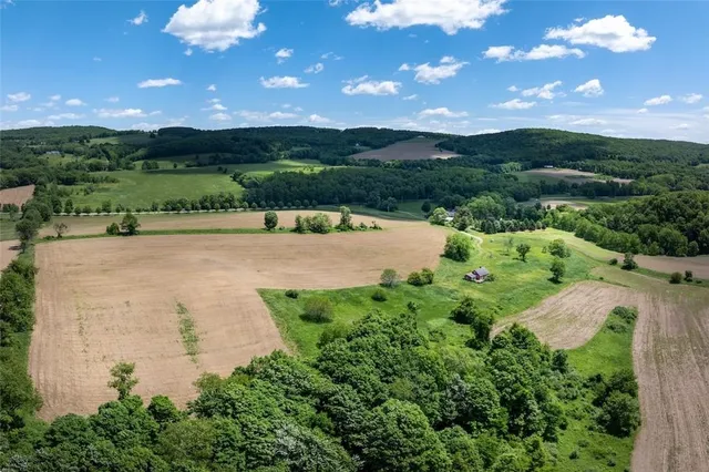 a view of a lake from a yard