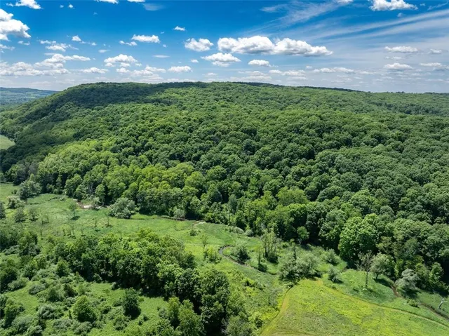 a view of a green yard