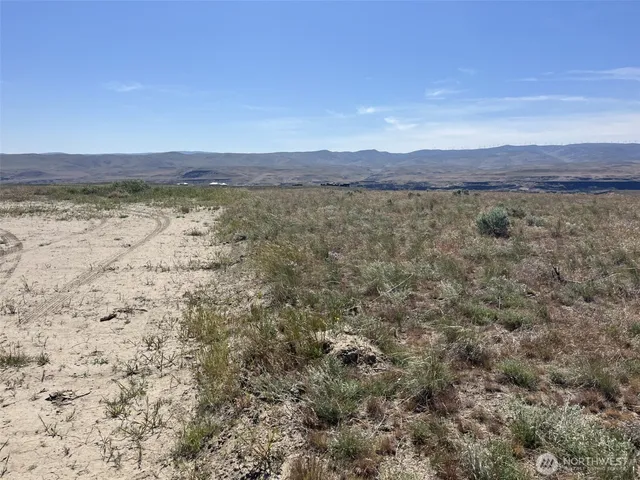 a view of a large body of water with lots of trees in the background