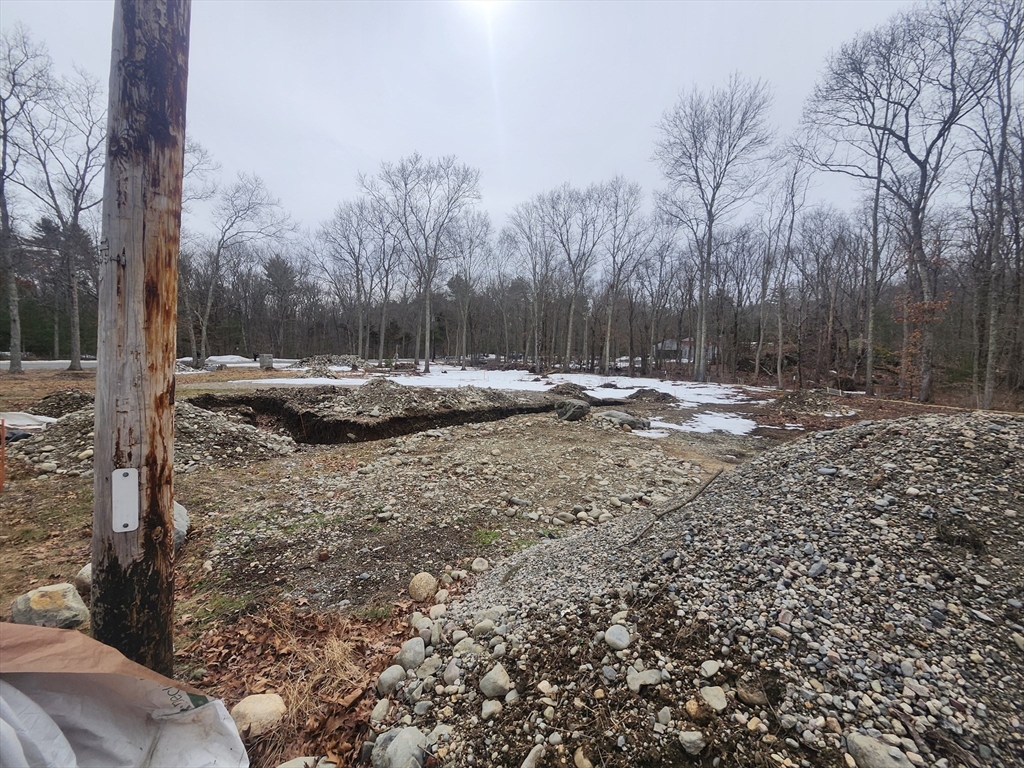 24 Danforth Street Rehoboth, MA 02769 - Photo 13 of 14 a view of dirt yard with trees