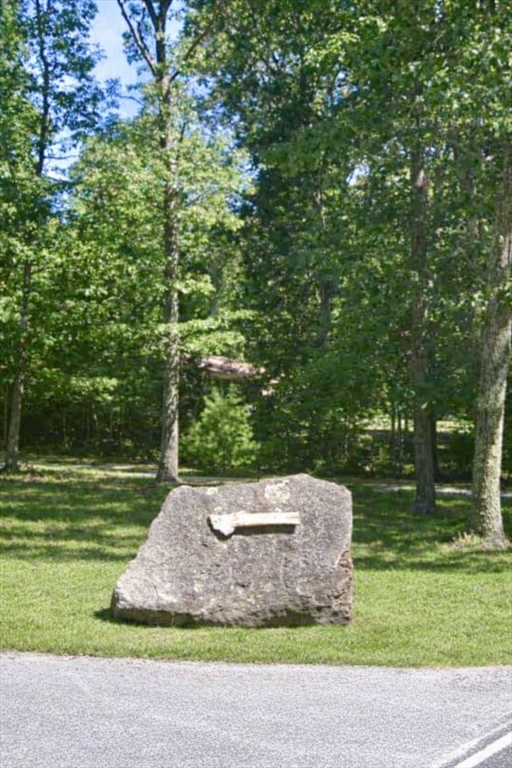 24 Danforth Street Rehoboth, MA 02769 - Photo 2 of 14 a view of a garden with a tree