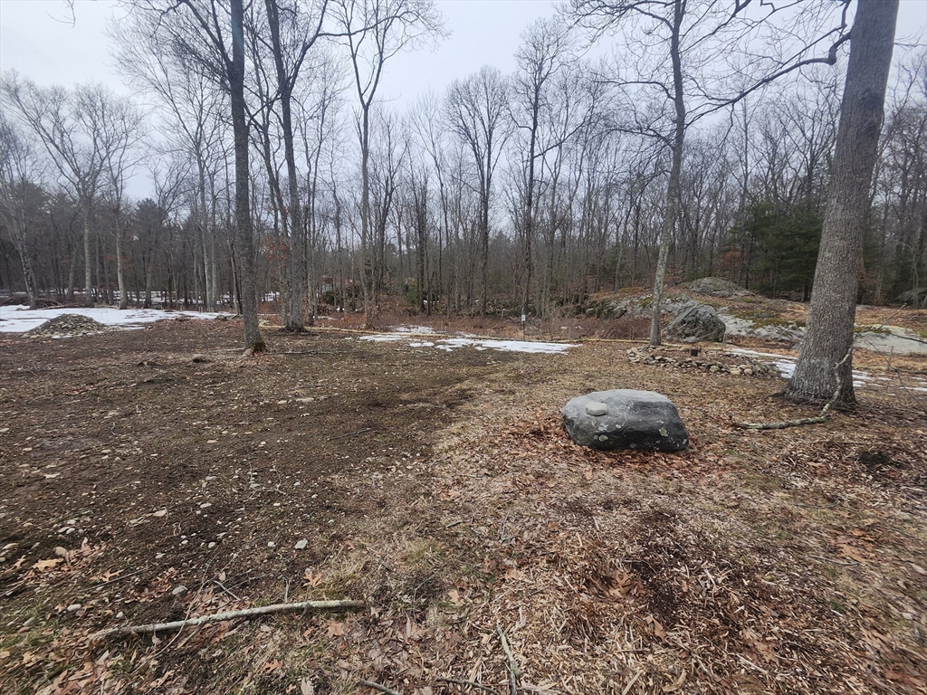 24 Danforth Street Rehoboth, MA 02769 - Photo 3 of 14 a backyard of a house with lots of green space