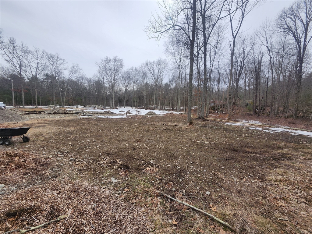 24 Danforth Street Rehoboth, MA 02769 - Photo 6 of 14 a backyard of a house with trees