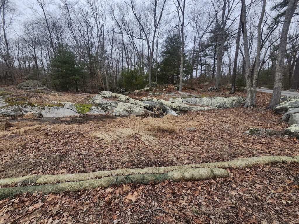 24 Danforth Street Rehoboth, MA 02769 - Photo 8 of 14 a view of backyard with green space
