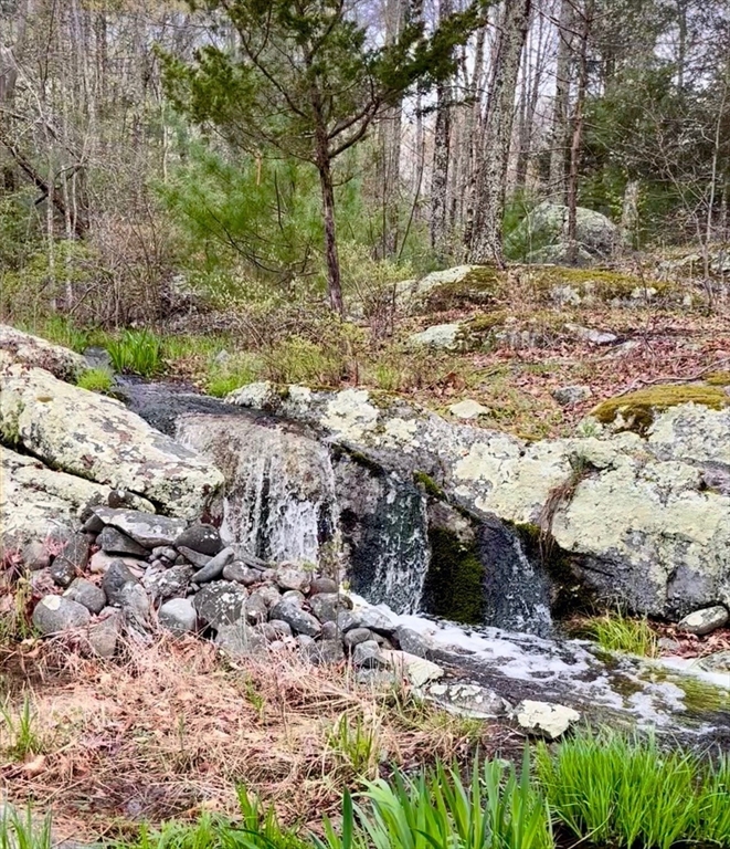 24 Danforth Street Rehoboth, MA 02769 - Photo 9 of 14 a view of a yard with trees