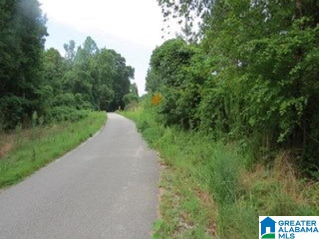 1980 Dripping Rock Road, Unit 20 50 AC Piedmont, AL 36272 - Photo 8 of 19