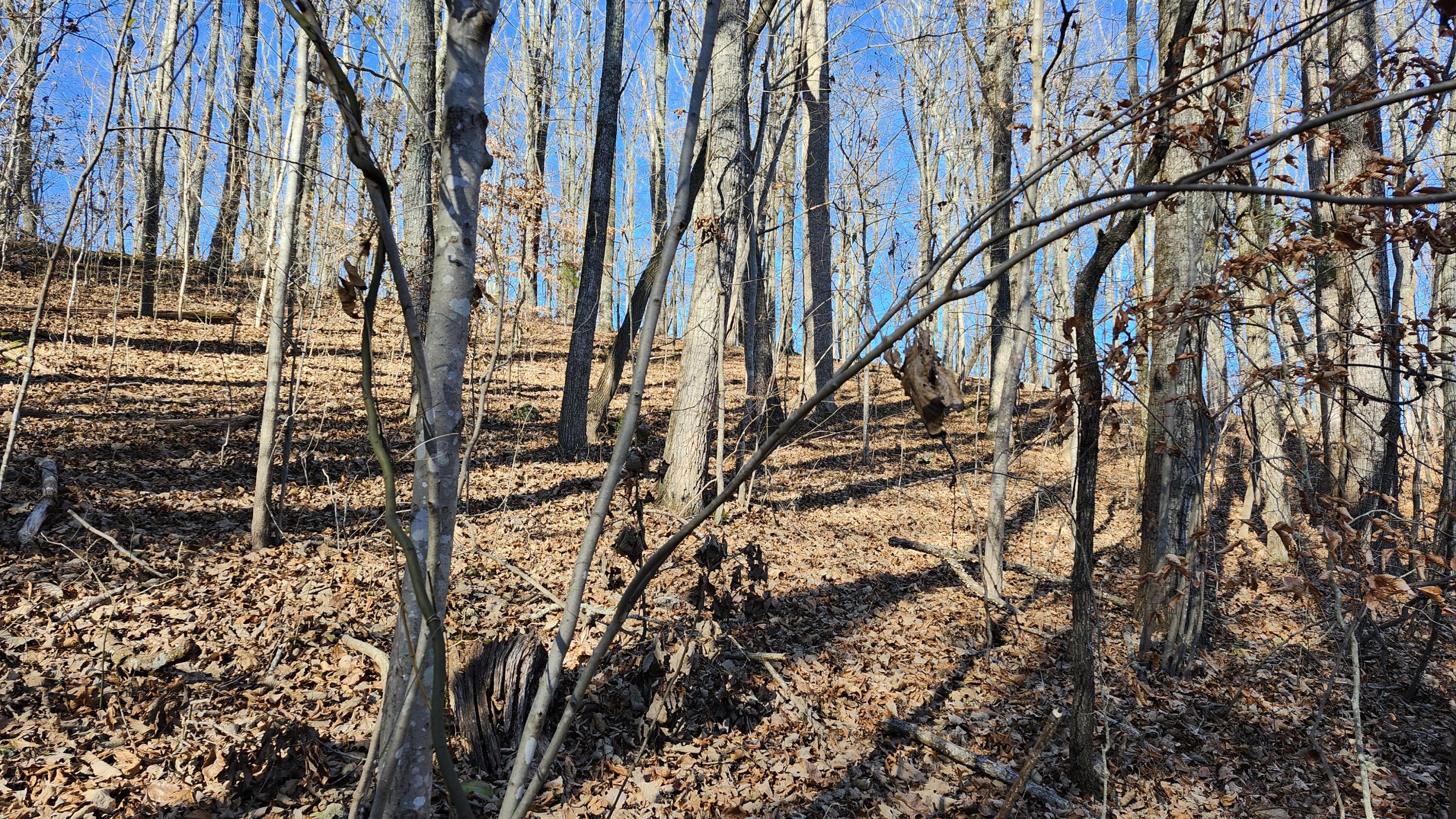496 Hancock (5-acre Portion) Road Jasper, TN 37347 - Photo 13 of 20 20251213_132013