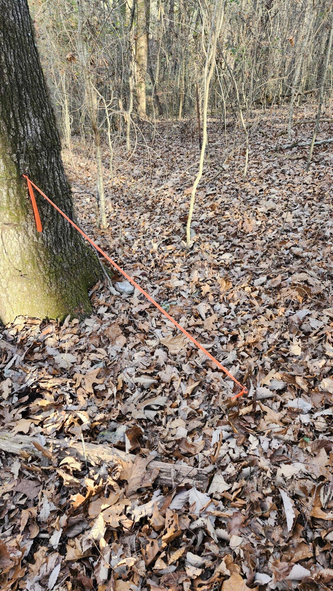 496 Hancock (5-acre Portion) Road Jasper, TN 37347 - Photo 4 of 20 20251212_141755