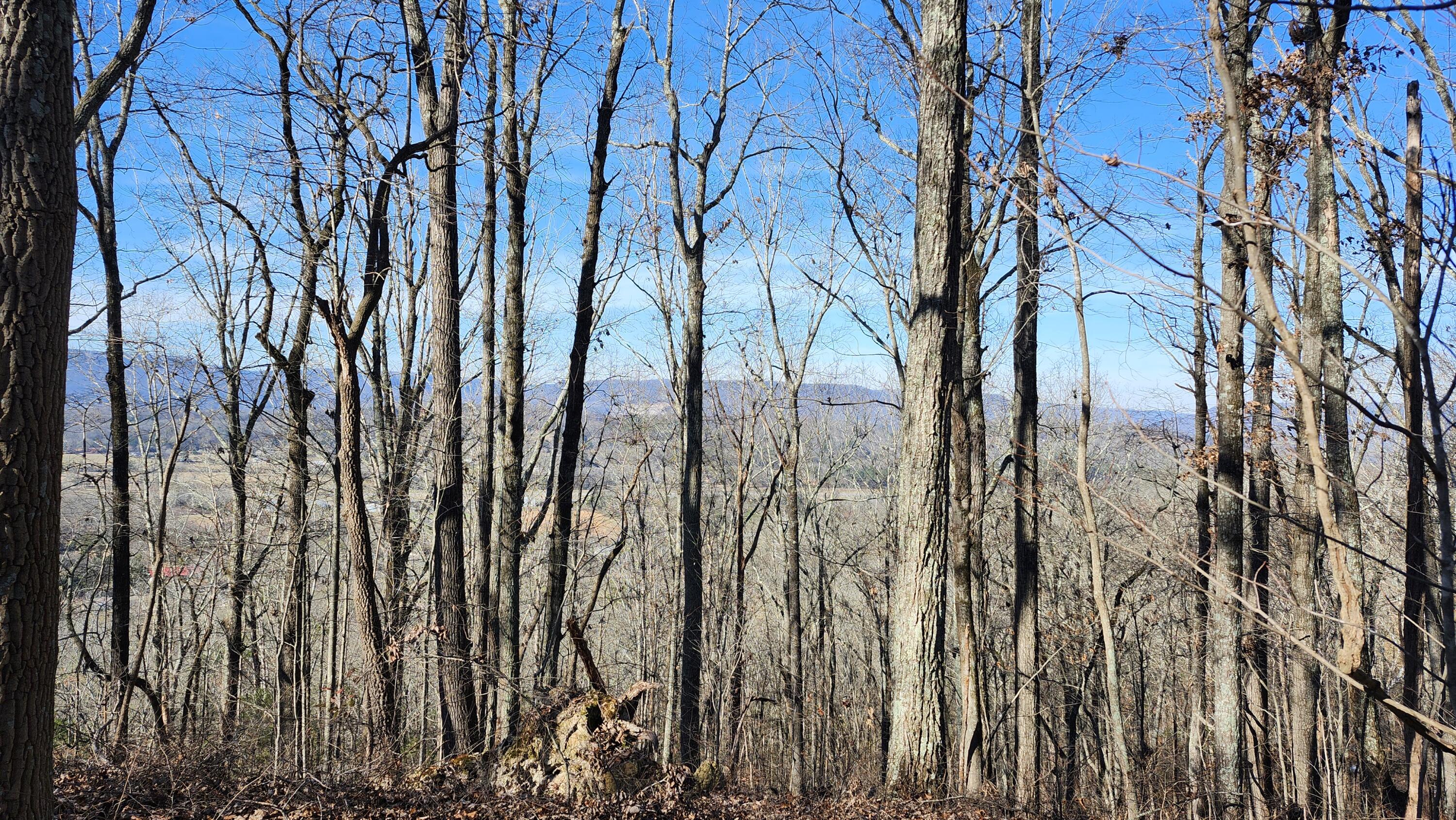 496 Hancock (5-acre Portion) Road Jasper, TN 37347 - Photo 5 of 20 20251213_125938