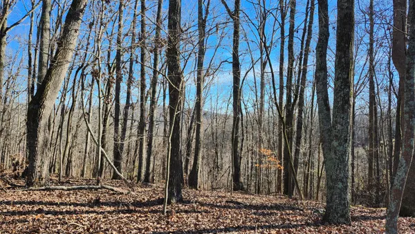 $68,000 | 496 Hancock (5-acre Portion) Road, Jasper, TN 37347