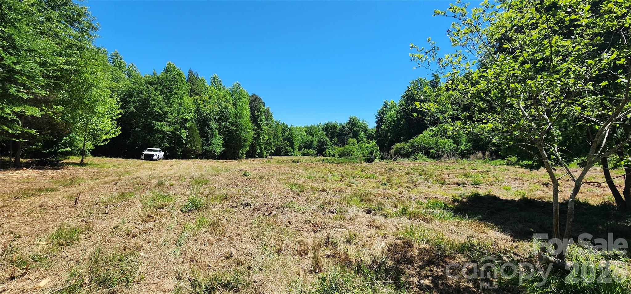 480 Brown Road Spartanburg, SC 29302 - Photo 12 of 47 a view of yard covered with trees
