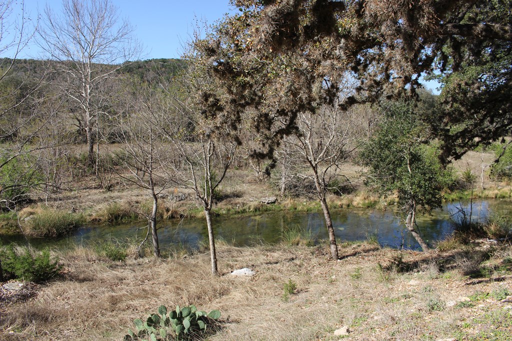 701 Bushwhack Road Kerrville, TX 78028 - Photo 29 of 31