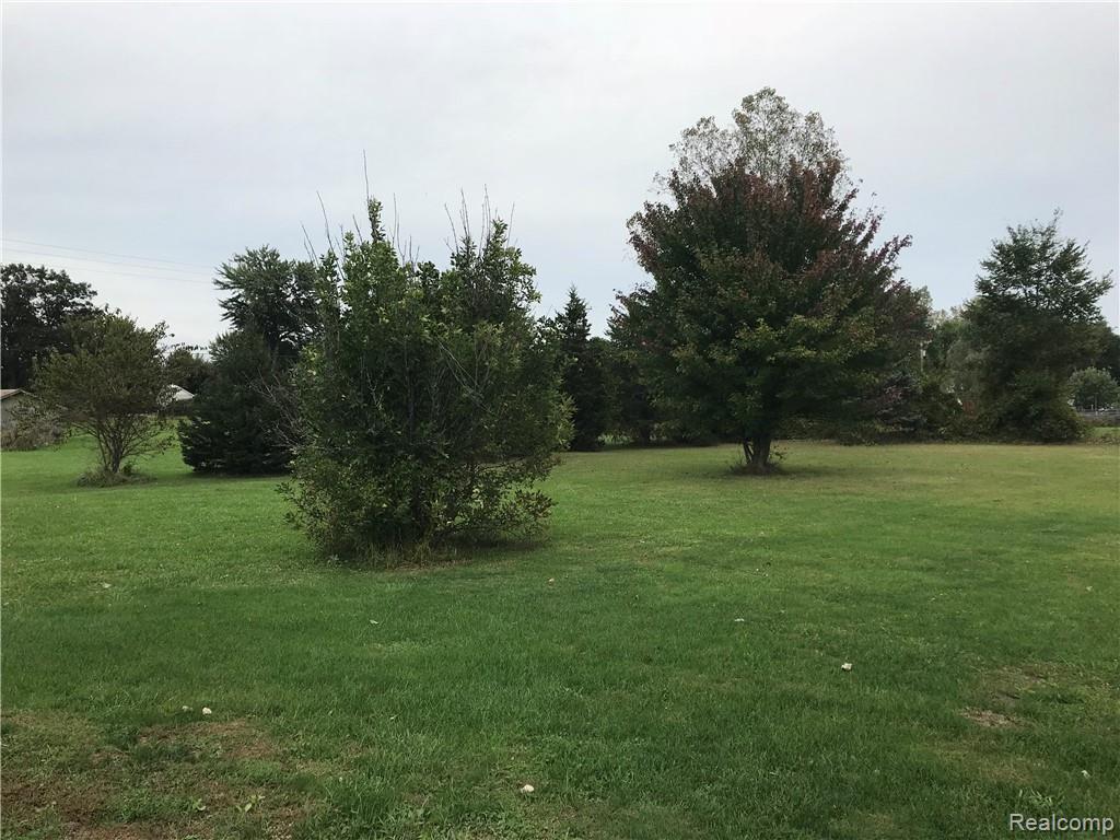 25701 Carleton West Road New Boston, MI 48164 - Photo 33 of 35