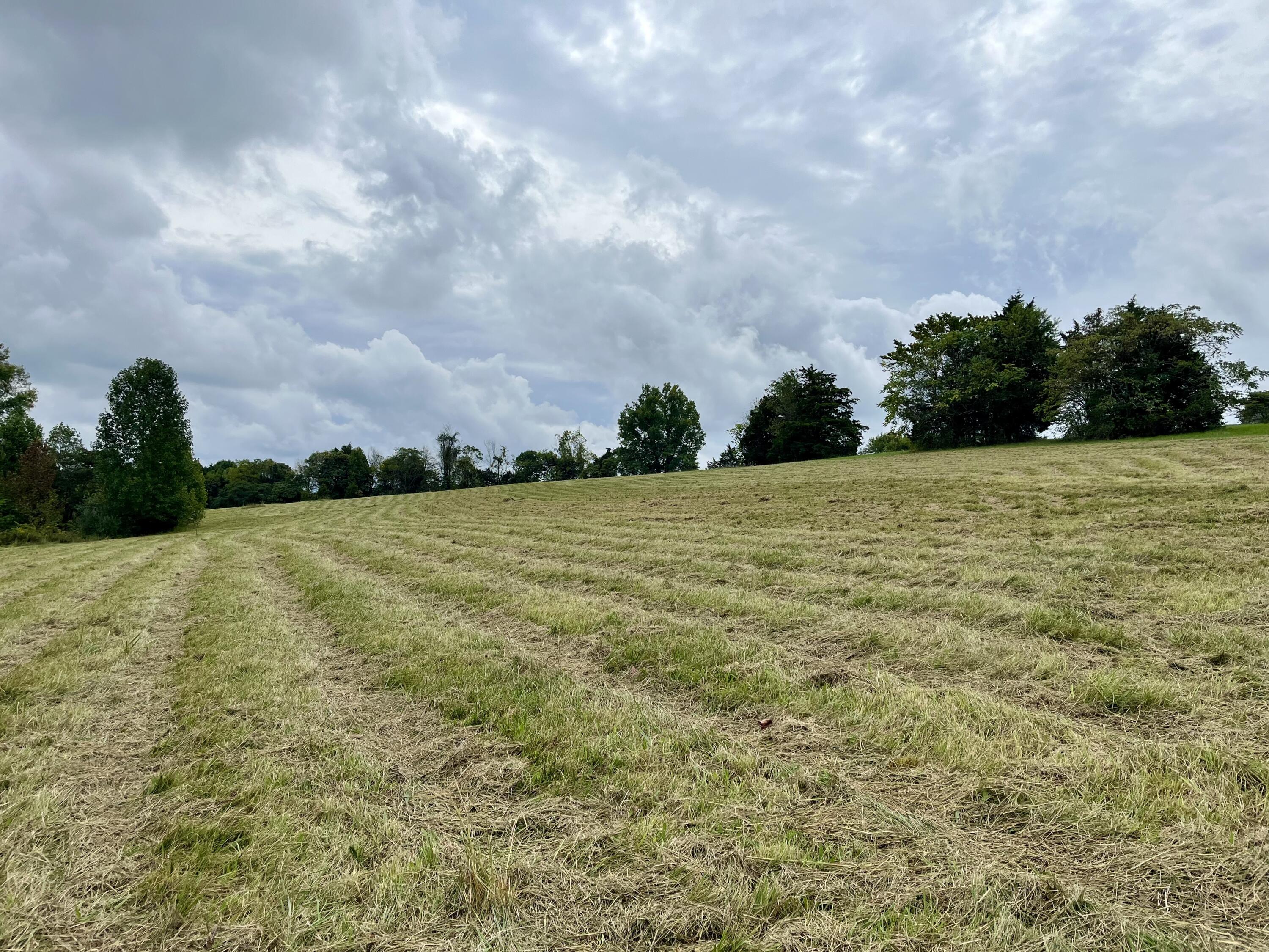 Lot 5 Smith Ridge Road Eubank, KY 42567 - Photo 10 of 24 IMG_4423