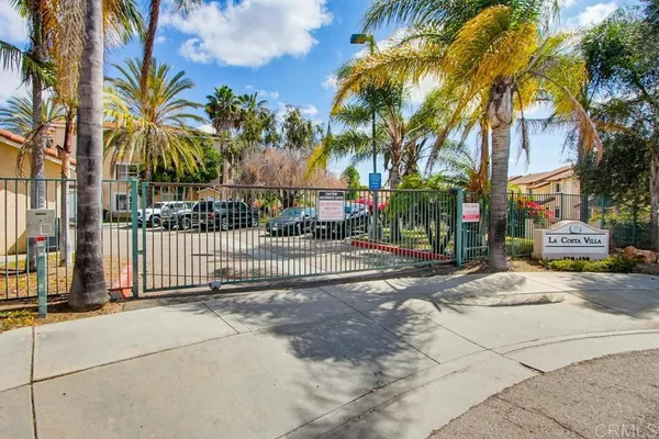 a view of a park with palm trees