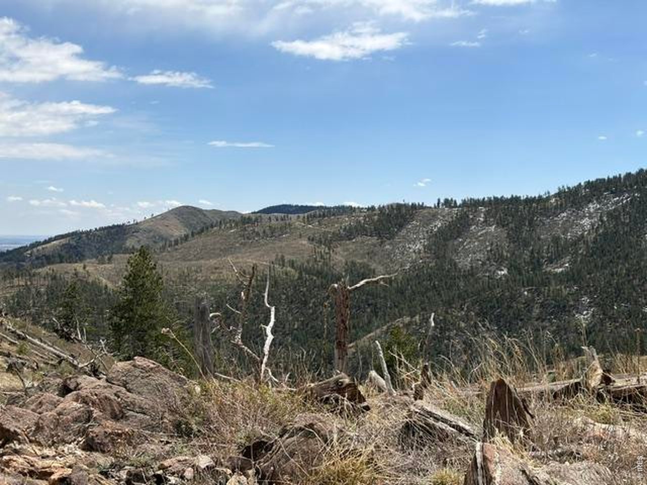 711 Saddle Ridge Road Bellvue, CO 80512 - Photo 11 of 25
