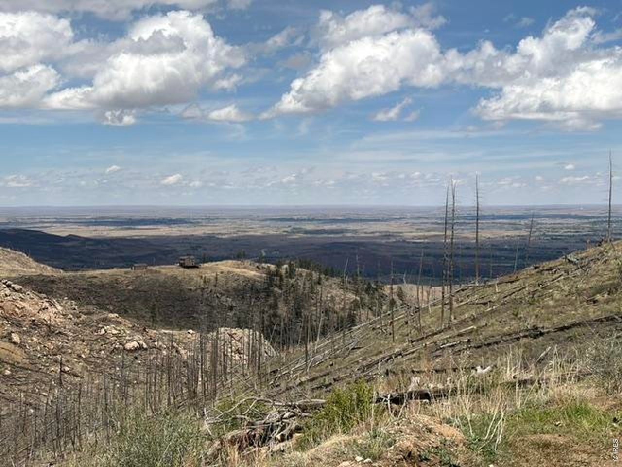 711 Saddle Ridge Road Bellvue, CO 80512 - Photo 12 of 25