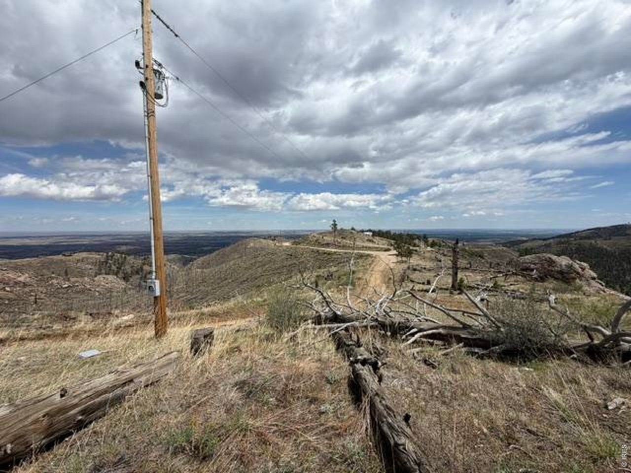 711 Saddle Ridge Road Bellvue, CO 80512 - Photo 15 of 25