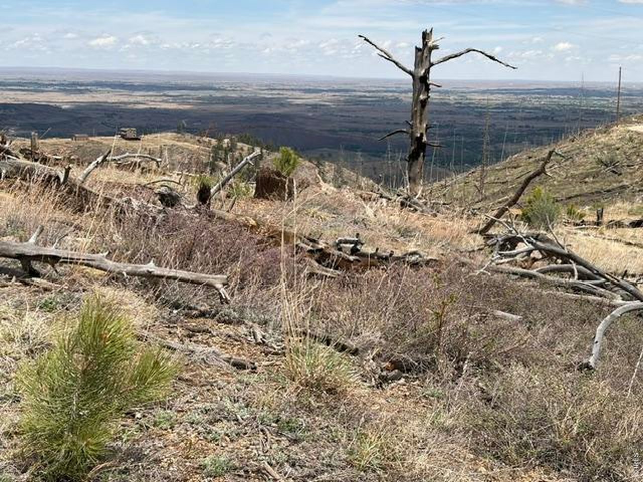 711 Saddle Ridge Road Bellvue, CO 80512 - Photo 17 of 25
