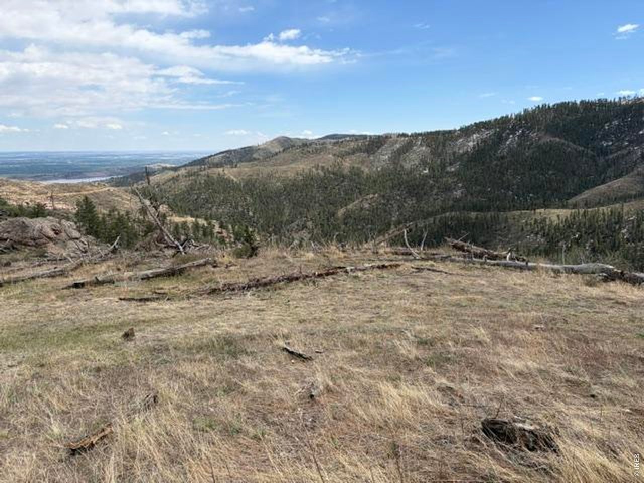 711 Saddle Ridge Road Bellvue, CO 80512 - Photo 19 of 25
