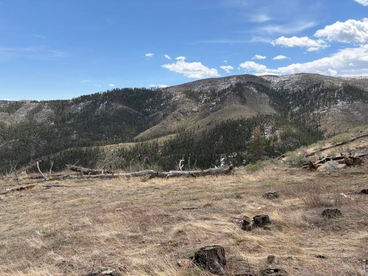 711 Saddle Ridge Road Bellvue, CO 80512 - Photo 20 of 25