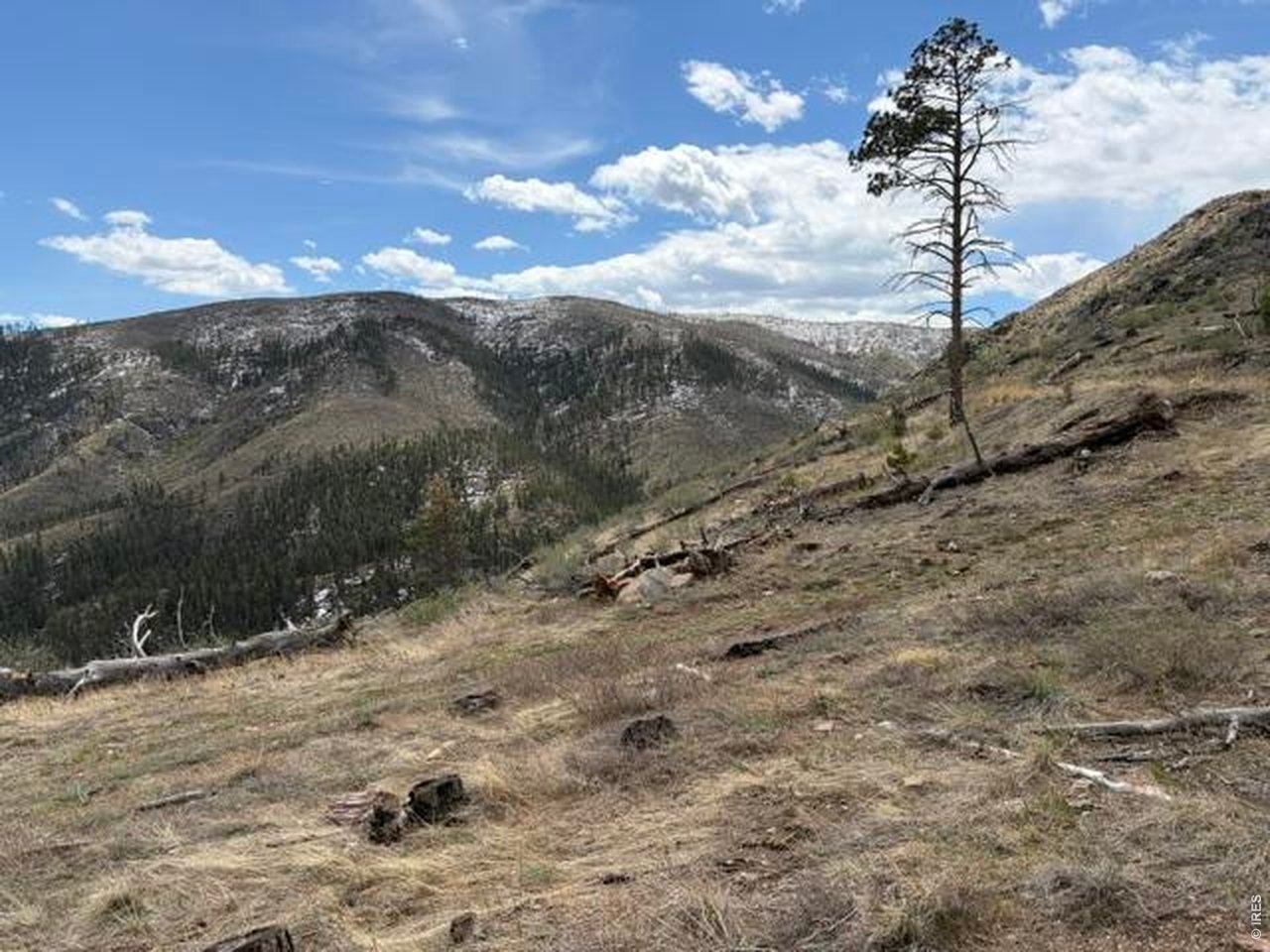 711 Saddle Ridge Road Bellvue, CO 80512 - Photo 21 of 25