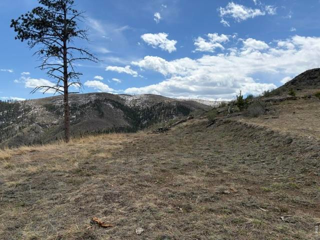 711 Saddle Ridge Road Bellvue, CO 80512 - Photo 23 of 25