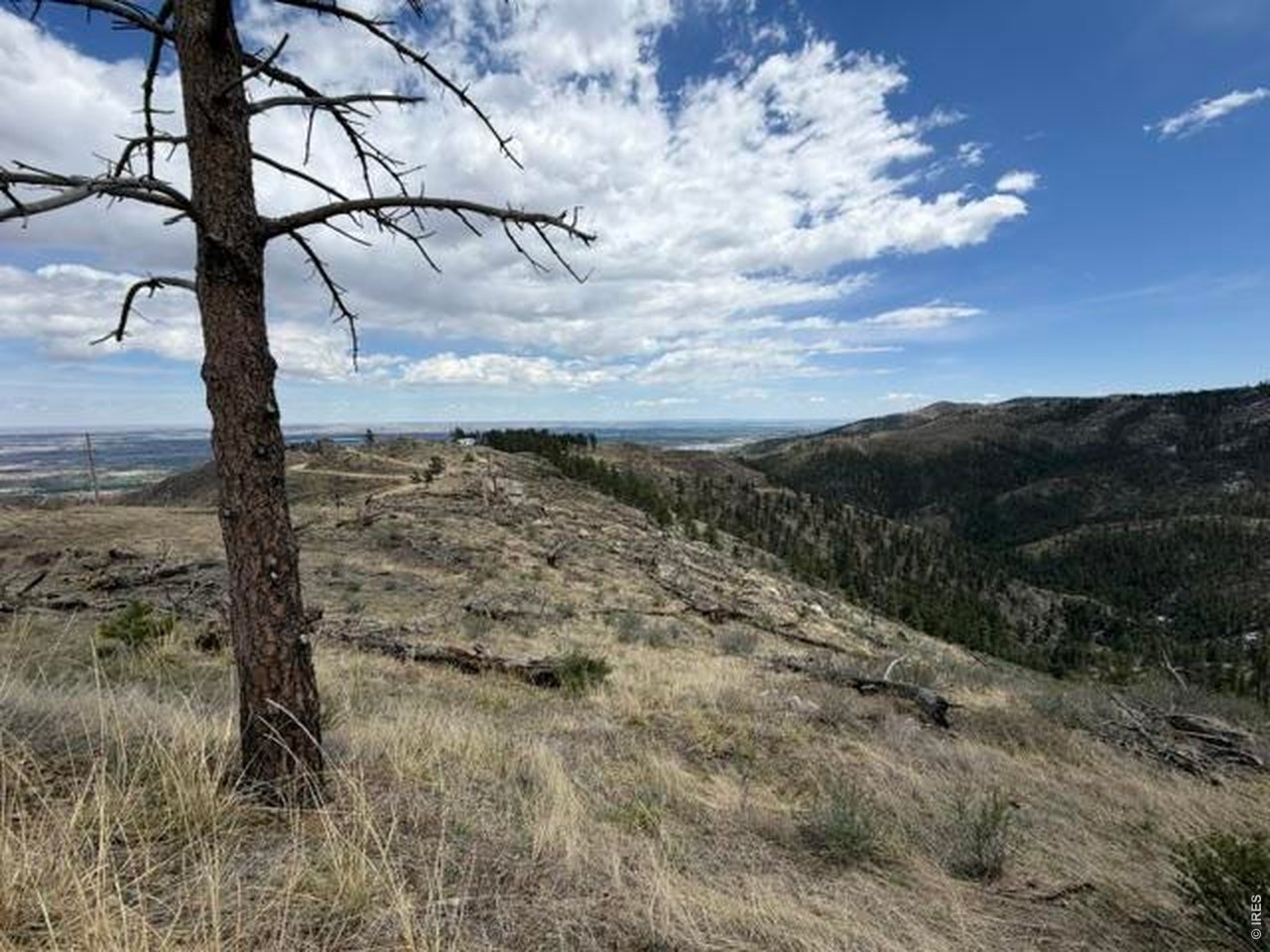711 Saddle Ridge Road Bellvue, CO 80512 - Photo 24 of 25