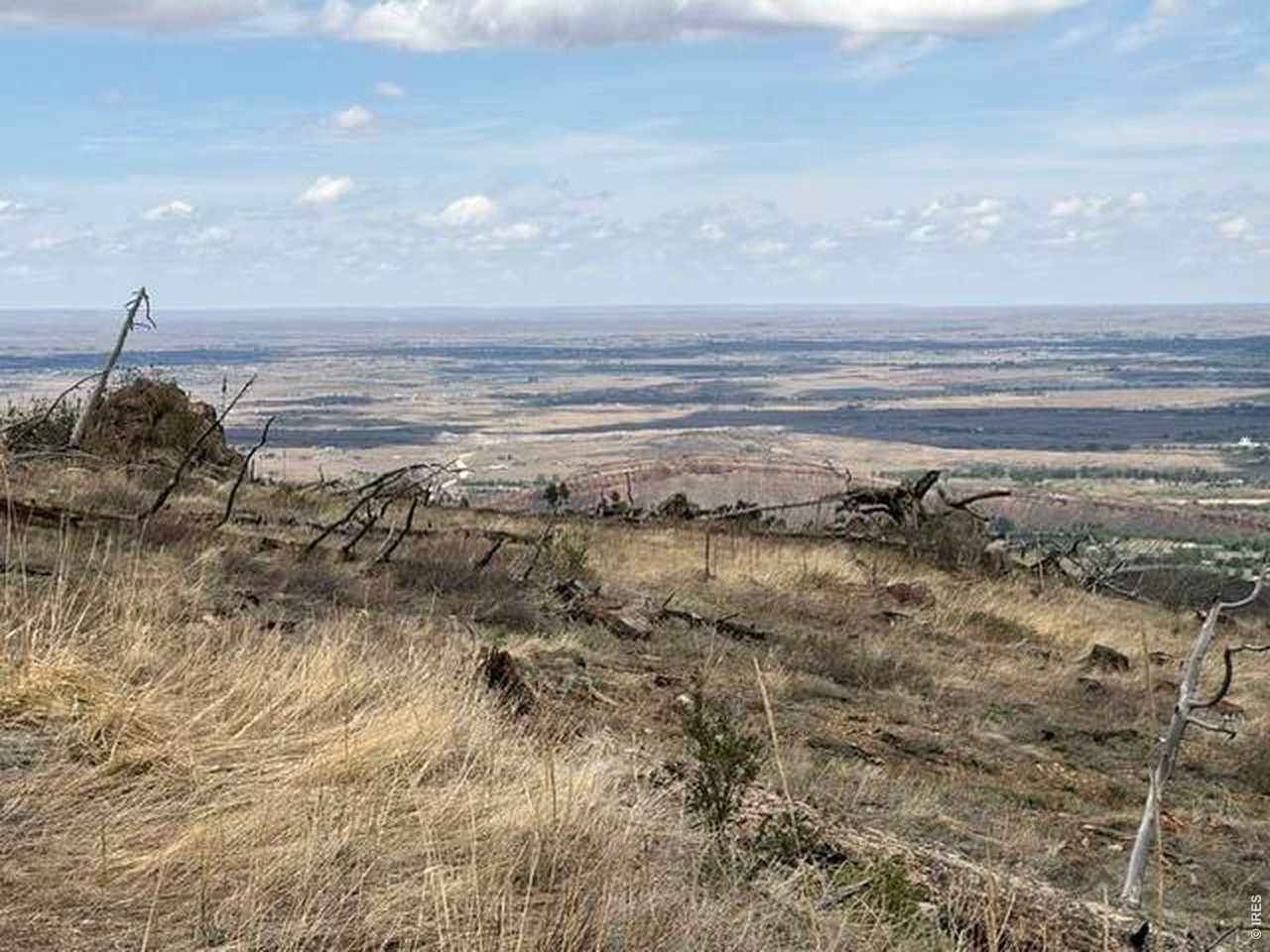 711 Saddle Ridge Road Bellvue, CO 80512 - Photo 25 of 25