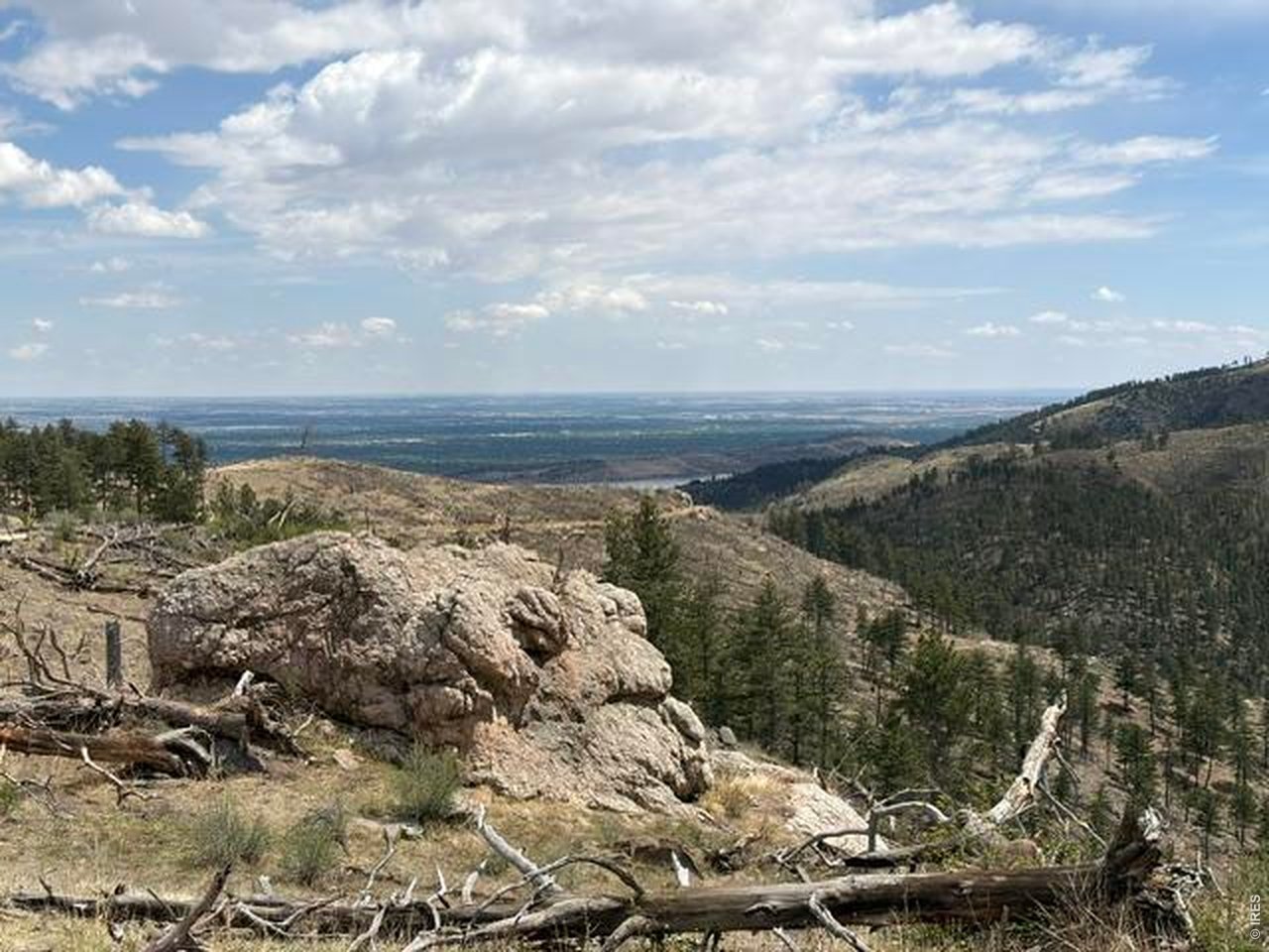 711 Saddle Ridge Road Bellvue, CO 80512 - Photo 3 of 25