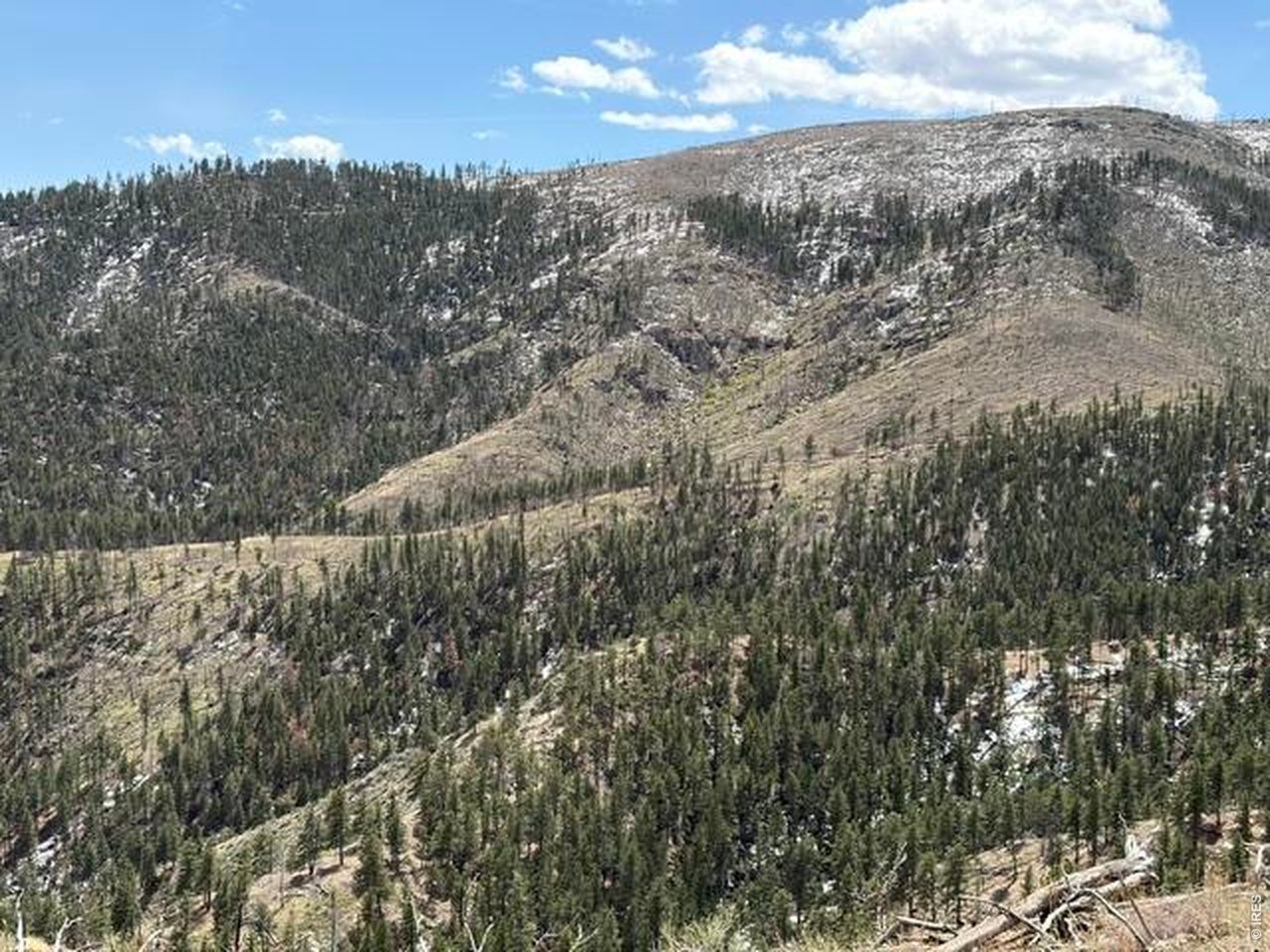 711 Saddle Ridge Road Bellvue, CO 80512 - Photo 4 of 25