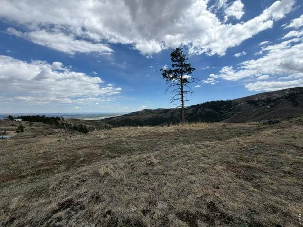 711 Saddle Ridge Road Bellvue, CO 80512 - Photo 5 of 25