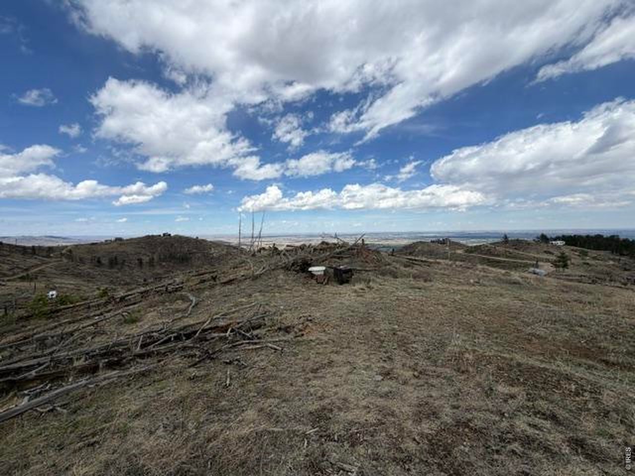 711 Saddle Ridge Road Bellvue, CO 80512 - Photo 6 of 25