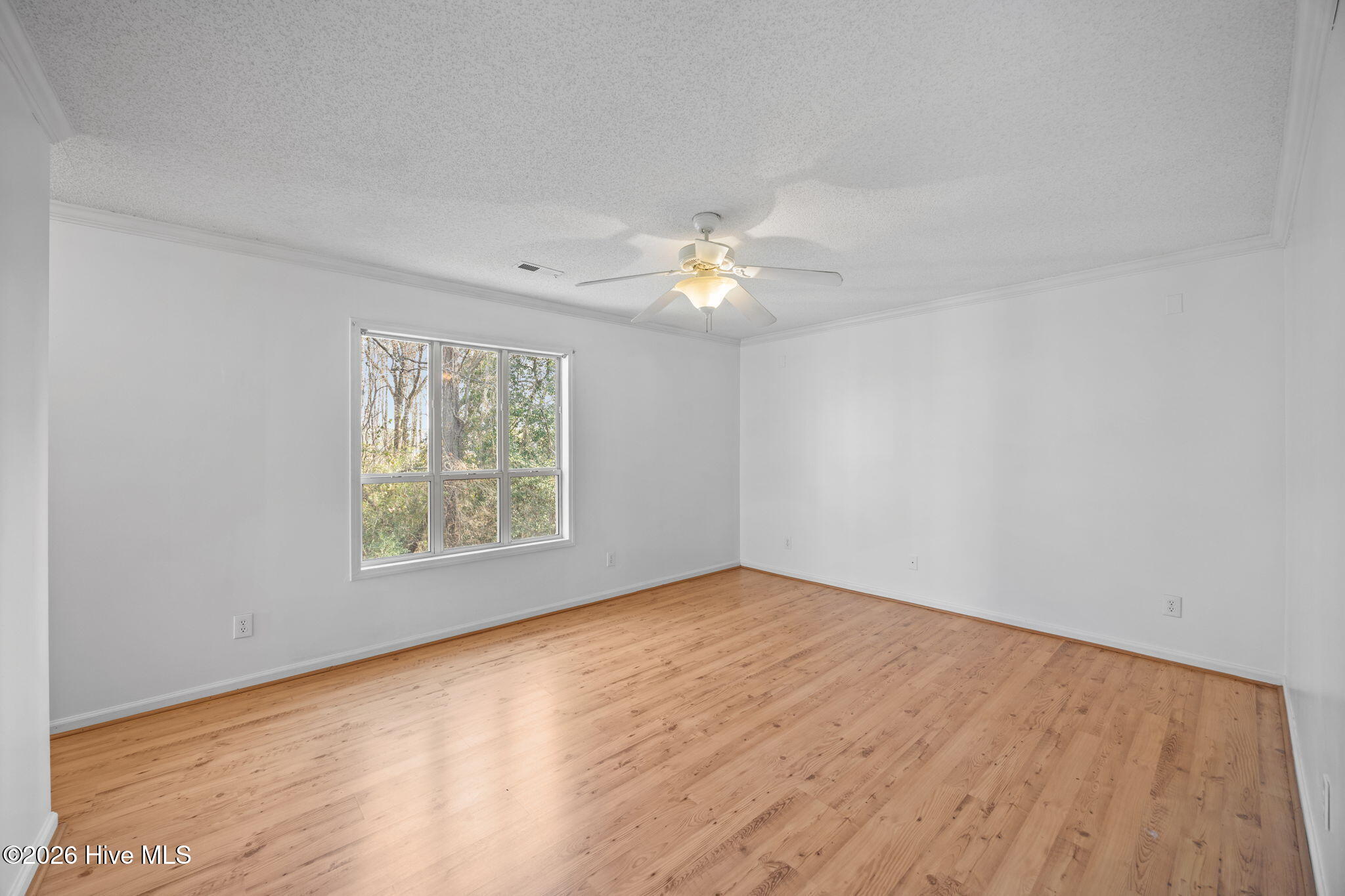 607 Spring Forest Road, Unit G Greenville, NC 27834 - Photo 12 of 24 Primary Bedroom