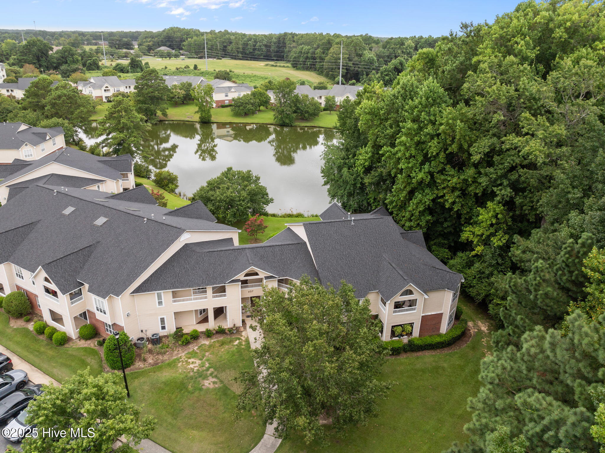 607 Spring Forest Road, Unit G Greenville, NC 27834 - Photo 19 of 24 View from Above