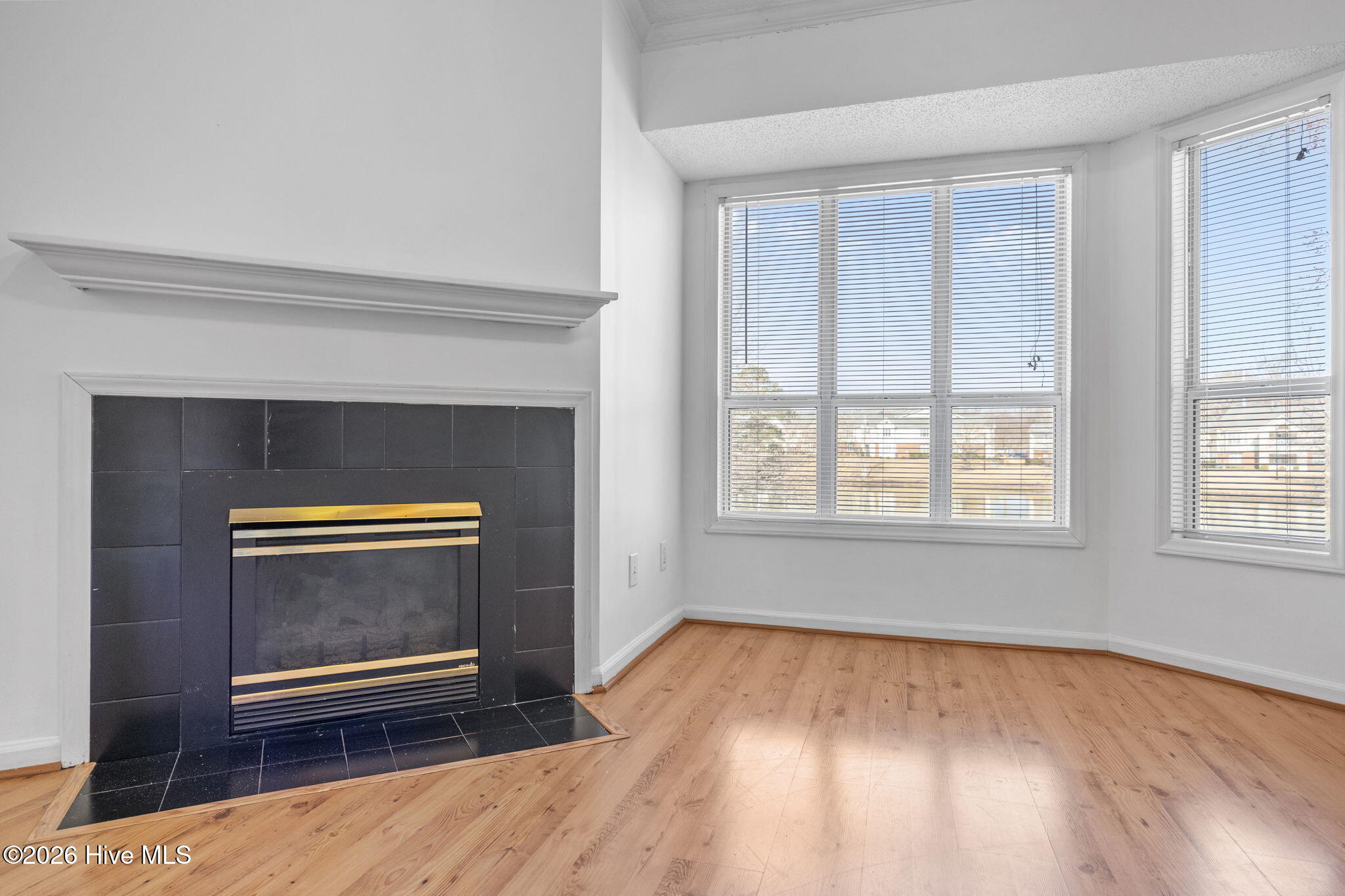 607 Spring Forest Road, Unit G Greenville, NC 27834 - Photo 7 of 24 Living area