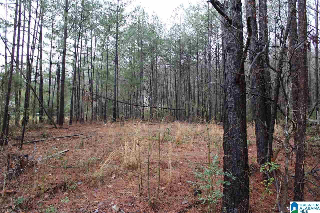 0 Fitzgerald Road Oxford, AL 36203 - Photo 1 of 44