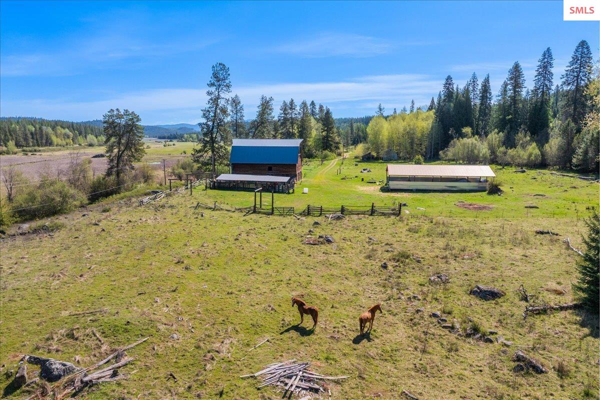 4610 Kelso Lake Road Athol, ID 83801 - Photo 9 of 71 Gallery Image 9
