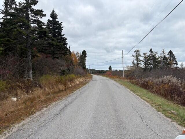 0 Boot Cove Road Lubec, ME 04652 - Photo 4 of 9