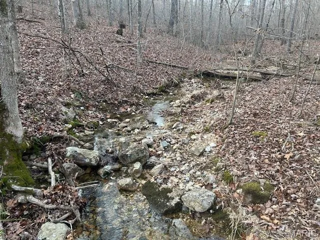 $39,500 | 0 Private Road 9516, Fredericktown, MO 63645