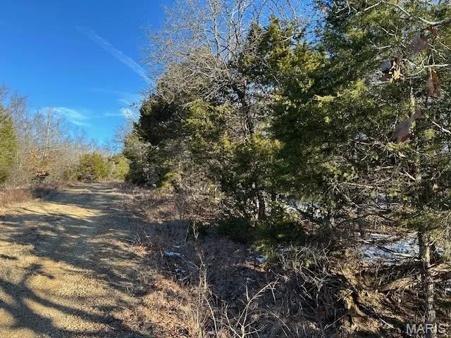 $39,500 | 0 Private Road 9516, Fredericktown, MO 63645