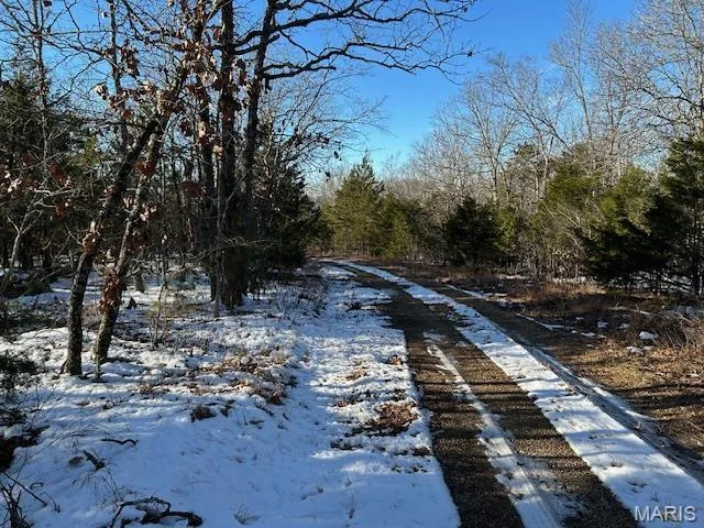 $39,500 | 0 Private Road 9516, Fredericktown, MO 63645