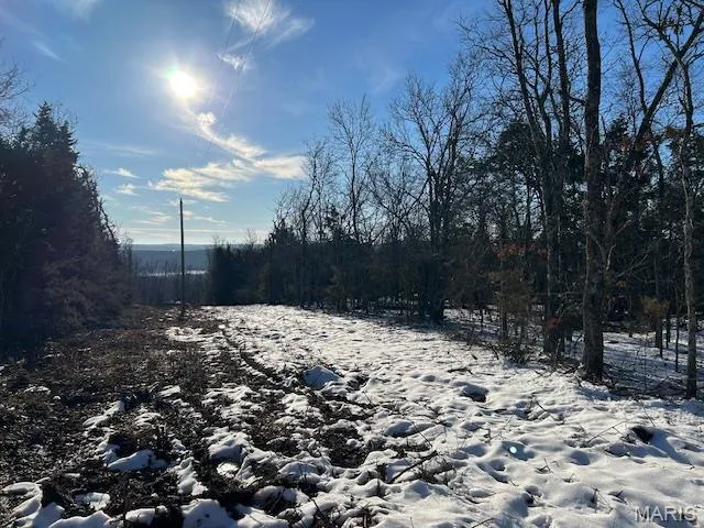 $39,500 | 0 Private Road 9516, Fredericktown, MO 63645